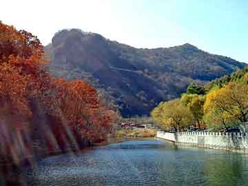 管家婆免费正版资起大全，青岛汽车座套